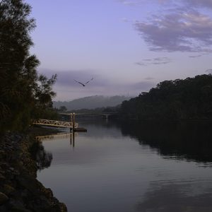 Land-scape-04